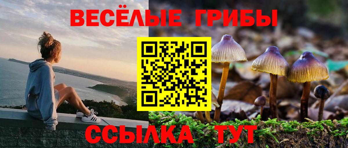 Псилоцибиновые грибы прущие грибы  Вход с VPN  Котовск 